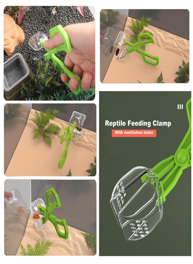 GCFTIFF 2-in-1 Reptile Feeding Water Bottle and Feeding Clamp,Automatic Feeders Bowl for Bearded Dragon Gecko Snake Lizard Turtles and Other Small Animals - Image 4